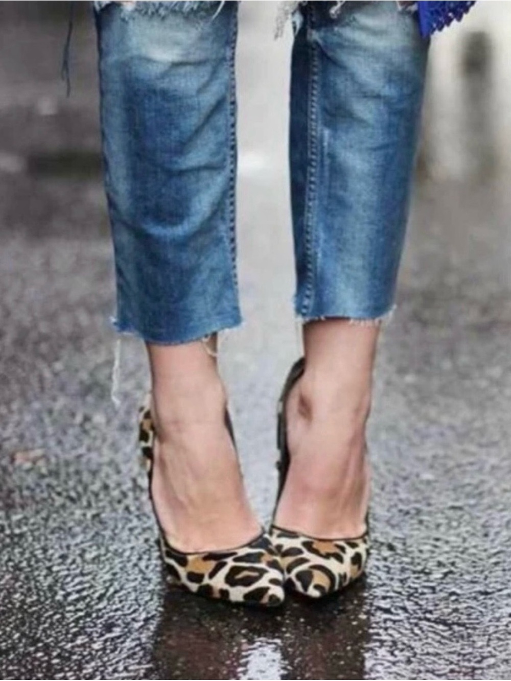 Stuart Weitzman Leopard Print Heels - Picture 14 of 15